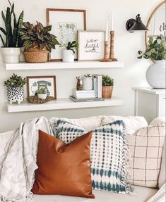 a living room filled with lots of furniture and plants on top of white shelves next to each other