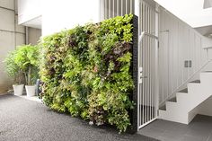 an indoor living wall with plants growing on it's side and stairs leading up to the second floor