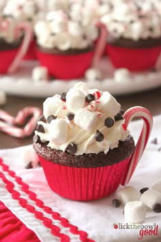 cupcakes with white chocolate and peppermint candy canes on the top