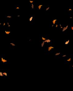 a group of birds flying in the dark with orange and yellow leaves on it's wings