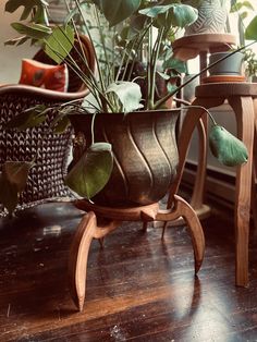 a potted plant sitting on top of a wooden table