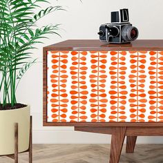 an orange and white painted cabinet next to a potted plant with a camera on top