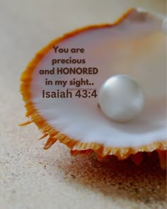 an orange shell with a pearl in it on the sand, saying you are precious and honored in my sight