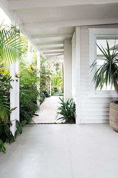 a house with white walls and lots of plants on the front porch, along with a potted palm tree