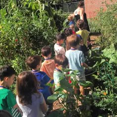 a group of children standing around in a garden