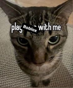 a cat sitting on top of a rug with the words play roblox with me