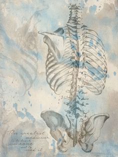 Chiropractic Art, Fitness Backgrounds, Human Skeleton Anatomy, Craniosacral Therapy, Skeleton Drawings, Chiropractic Clinic, Therapy Office