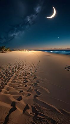 the moon is setting over an empty beach with footprints in the sand and palm trees