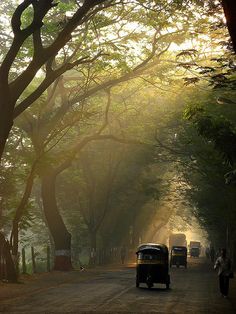 an old car driving down a road with trees on both sides and fog in the air