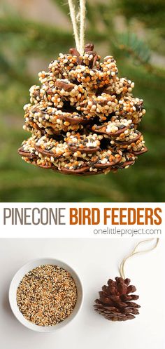 pinecone bird feeders are great for small birds