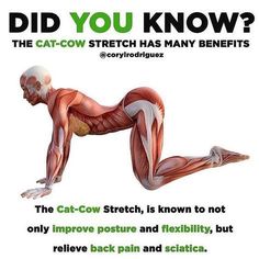 a poster with an image of a man doing push ups on his stomach and the caption did you know?