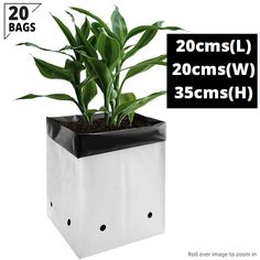 a plant in a black and white box with the words 20cm / l 30cm / w 3cm / h