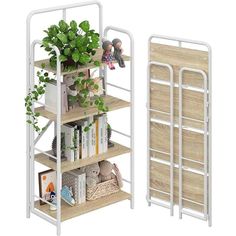 two shelves with plants and books on them