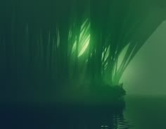 an abstract photo of water and reeds in the foggy night sky with green light