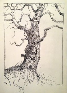 a pencil drawing of a tree with no leaves on the trunk and branches still attached to it