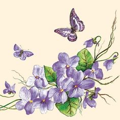 purple flowers and butterflies on a white background