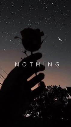 a person holding a rose in their hand with the words nothing above it and stars