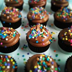 cupcakes with chocolate frosting and sprinkles on top