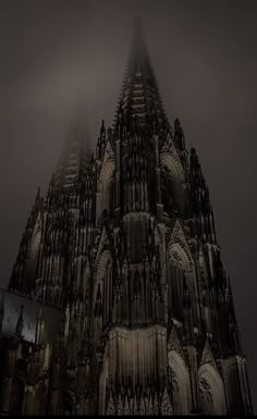 an image of a gothic cathedral in the fog