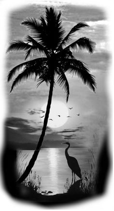 a black and white photo of a bird under a palm tree with the sun in the background