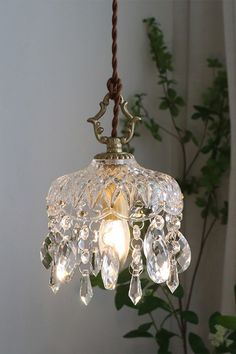 a chandelier hanging from a rope with crystal drops on it and a potted plant in the background