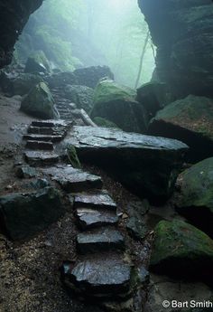 the steps lead up to the cave in the fog