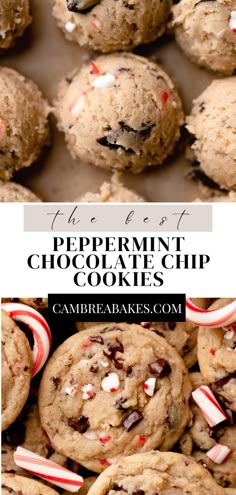 photo of peppermint chocolate chip cookies in a pile on bottom and cookie dough balls on top. Peppermint Chocolate Chip Cookies, Christmas Cookie Recipes Holiday, Peppermint Chocolate, Christmas Baking Recipes, Holiday Cookie Recipes, Christmas Food Desserts, Sweet Snacks Recipes, Christmas Cooking, Baking Sweets