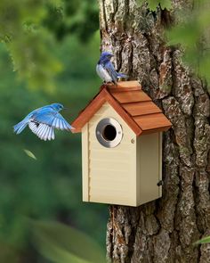 two birds are perched on the roof of a birdhouse next to a tree and another bird is flying near it