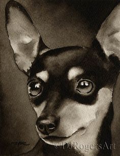 a black and white drawing of a dog's face with eyes wide open, looking at the camera