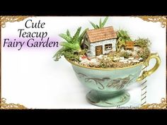 a teacup with some plants in it and the words cute teacup fairy garden