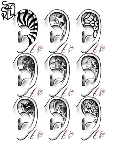 the different types of ear tattoo designs for men and women, including an image of zebras