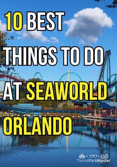 the top 10 best things to do at seaworld orlando