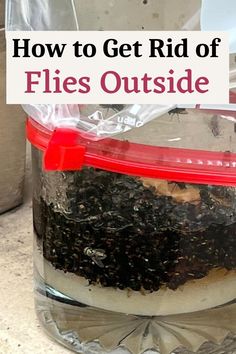 how to get rid of flies outside How To Get Rid Of Flies Outside, Diy Fly Repellent, How To Repel Flies, Diy Flies Repellent, Spider Repellant, Rid Of Flies Outside, Get Rid Of Flies Outside, Natural Spider Repellant