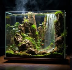 an aquarium filled with water and plants on top of a wooden table in front of a dark background