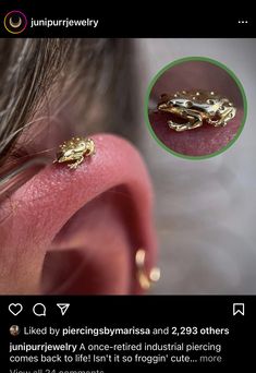 an ear piercing is shown with two small gold leaves on it's side and the other