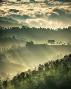 the sun shines through the clouds over trees on a mountain side with rolling hills in the background