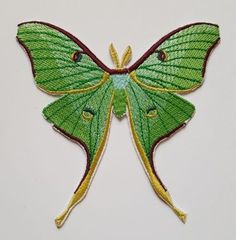 a green and yellow butterfly on a white surface