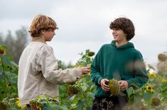 two boys standing in a sunflower field with one holding a flower and the other looking at it