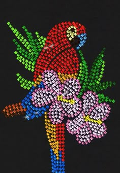 a colorful parrot sitting on top of a bouquet of flowers in front of a black background