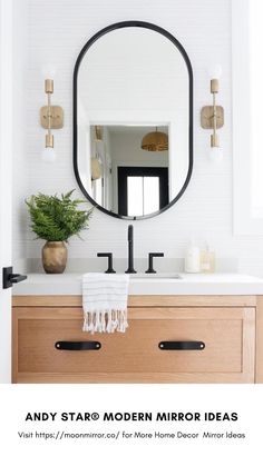 a bathroom sink with a mirror above it and a potted plant on the counter