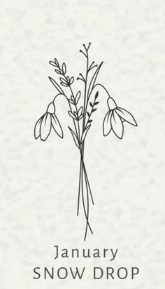 the january snow drop logo with flowers and leaves in black ink on a white background