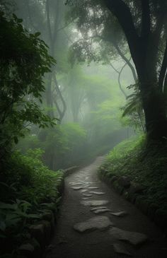 a path in the middle of a lush green forest with rocks and trees on both sides