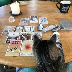 Modern Witch, Witchy Vibes, Psychic Readings, A Witch, Coven, The Witch, Tarot Reading