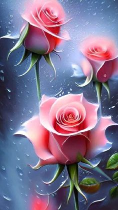 three pink roses with water drops on them are shown in this artistic painting by numbers