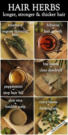 Hair Herbs, Regrow Thinning Hair, Herbs For Hair Growth, How To Darken Hair, Herbs For Hair, Homemade Hair Products