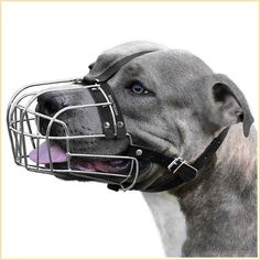 BRONZEDOG Dog Muzzle Pitbull Metal Mask Amstaff Wire Basket Pit Bull Adjustable Metal Mask, American Pitbull, Bully Dog, Wire Basket, Staffordshire Terrier, Good Buddy, American Bully