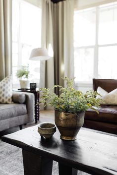 a living room filled with furniture and a wooden table topped with a potted plant