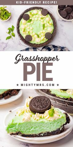 Grasshopper Pie (Kid-Friendly) St Patrick Desserts, Grasshopper Pie Recipe, Sour Cream Raisin Pie, Homemade Chocolate Recipes, Mint Pie, My Mom Is The Best, Green Pie, Oreo Pie Crust, Homemade Oreo Cookies