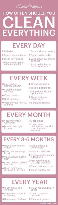 a pink poster with the words how often should you clean everything every day on it