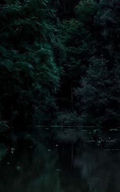 a body of water surrounded by trees in the night time with only one person standing on it